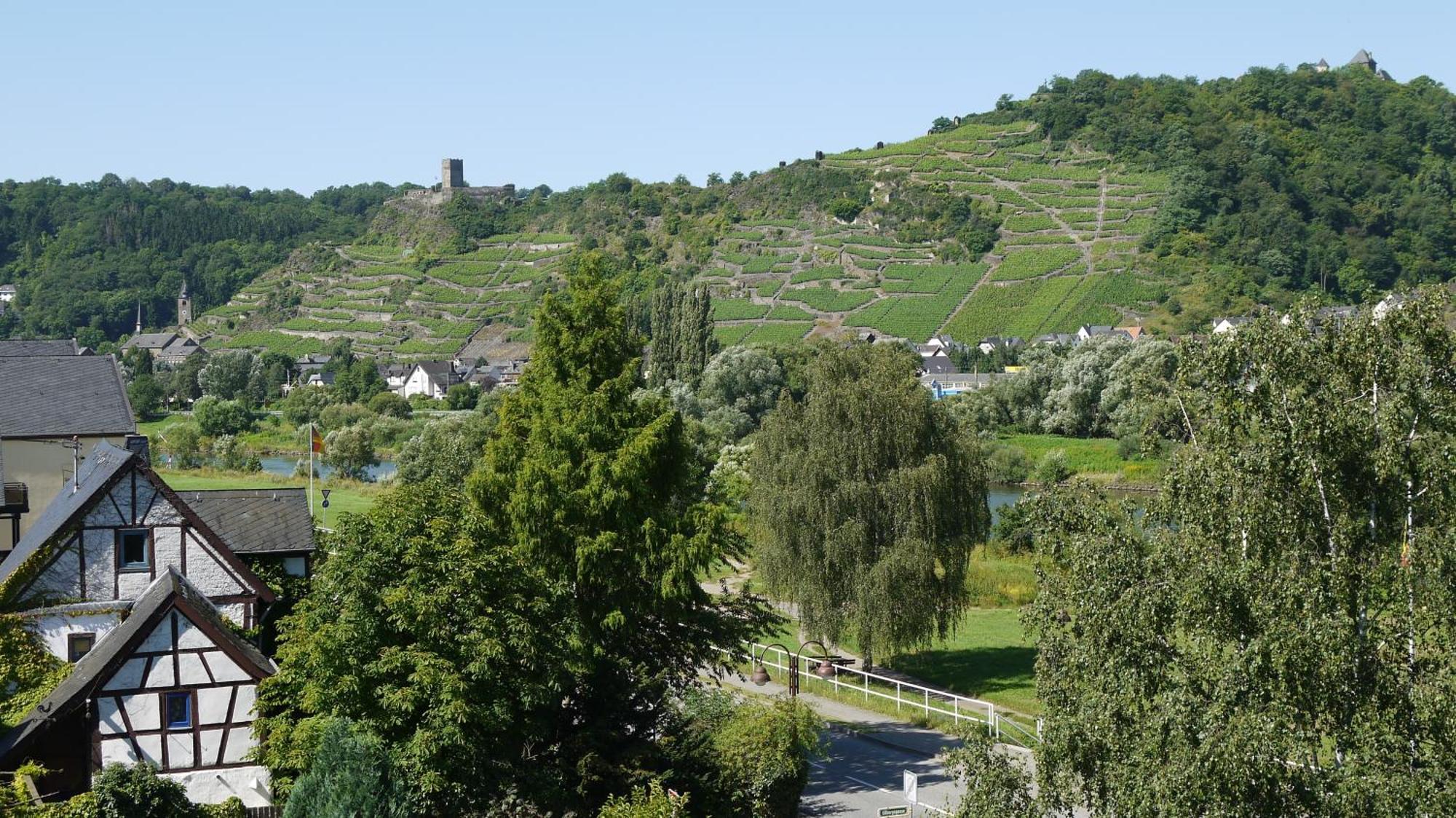 Hotel-Garni-Kachelburg ディーブリヒ エクステリア 写真